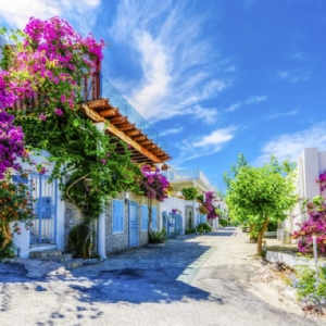 KURBAN BAYRAMI ÖZEL MARMARİS BODRUM DATÇA  TURU