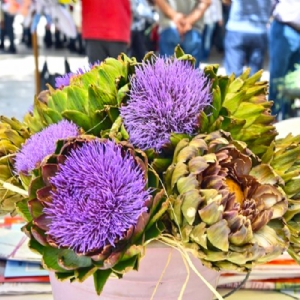 URLA ENGİNAR FESTİVALİ TURU