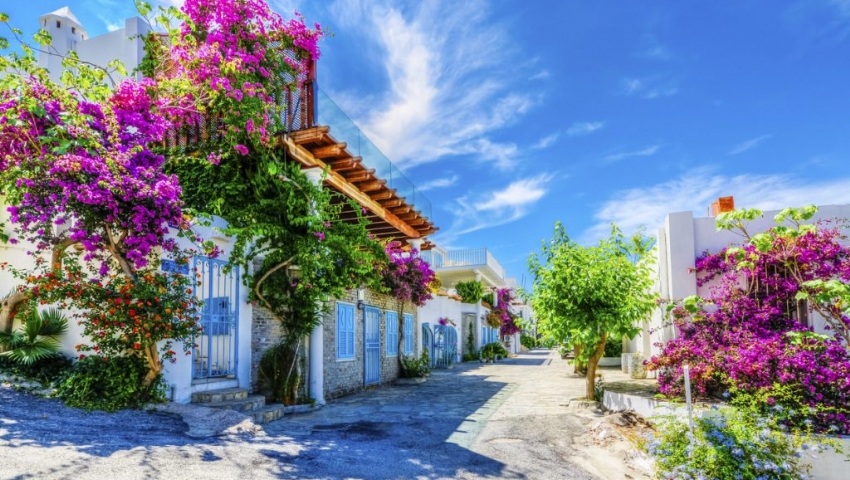 KURBAN BAYRAMI ÖZEL MARMARİS BODRUM DATÇA  TURU