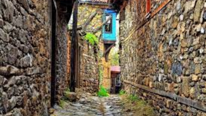 BURSA CUMALIKIZIK TURU