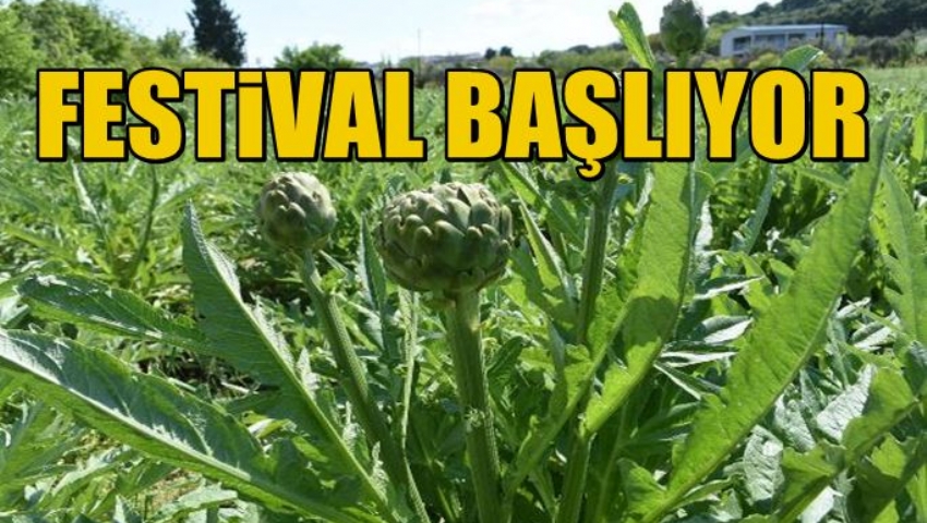 URLA ENGİNAR FESTİVALİ TURU