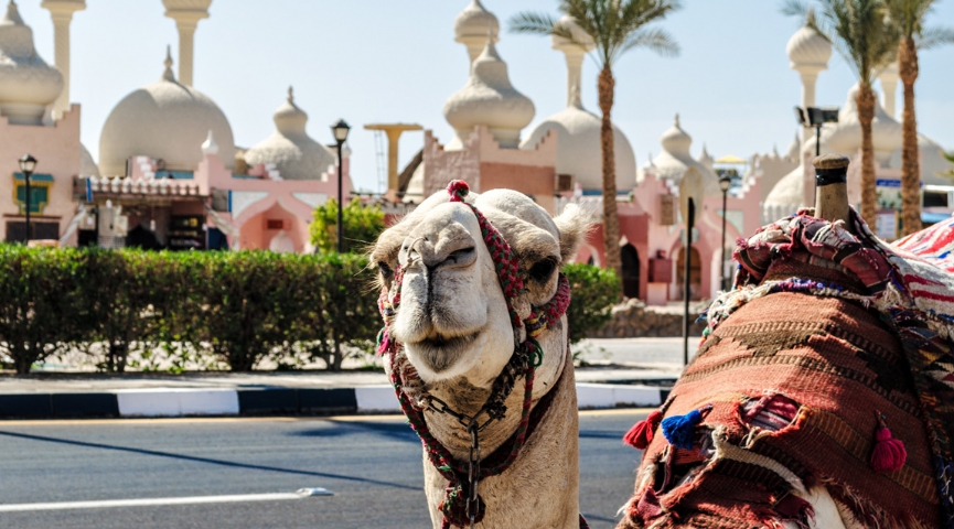 EXCLUSIVE SHARM EL SHEIKH TURU