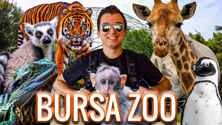 BURSA CUMALIKIZIK TURU