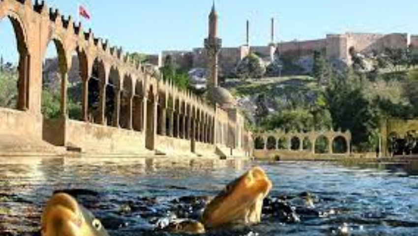 KURBAN BAYRAMI ÖZEL UÇAKLI ŞANLIURFA MARDİN MİDYAT TURU