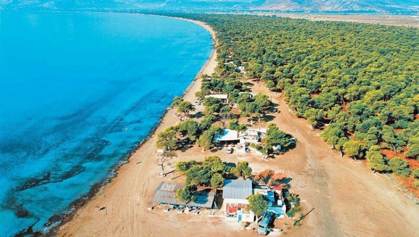 ALEXANDROUPOLİ - JUMBO AVM VE LIDL MARKET TURU