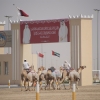 KATAR DOHA TURU - VİZESİZ