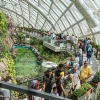 UÇAKLI ADANA PORTAKAL ÇİÇEĞİ FESTİVALİ TURU